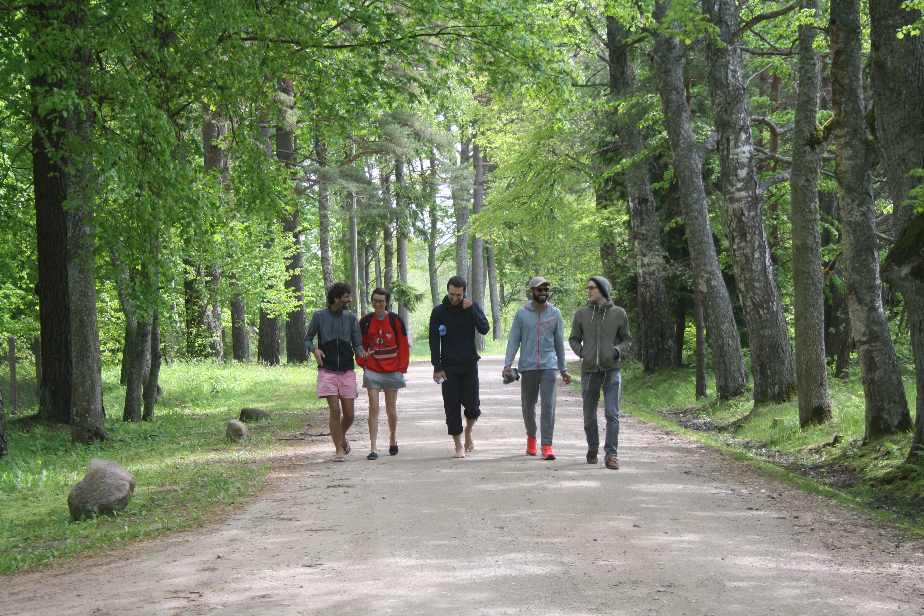 Residency of DNA artists in Jurkalne