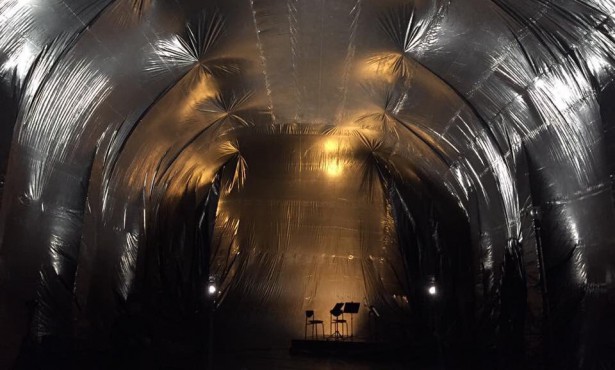 Homo Novus programme announced