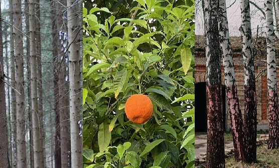 “Mūsu nepanesamais kultūras mantojums” – sadarbības prakses dokumentācija no Latvijas, Norvēģijas un Kipras