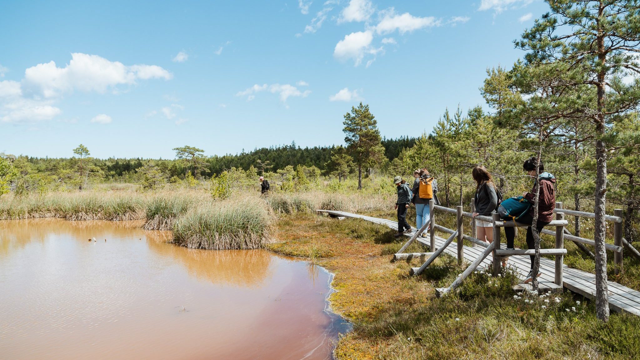 Aicinām pieteikties mākslas darba jaunrades atbalstam projektā “Soil”