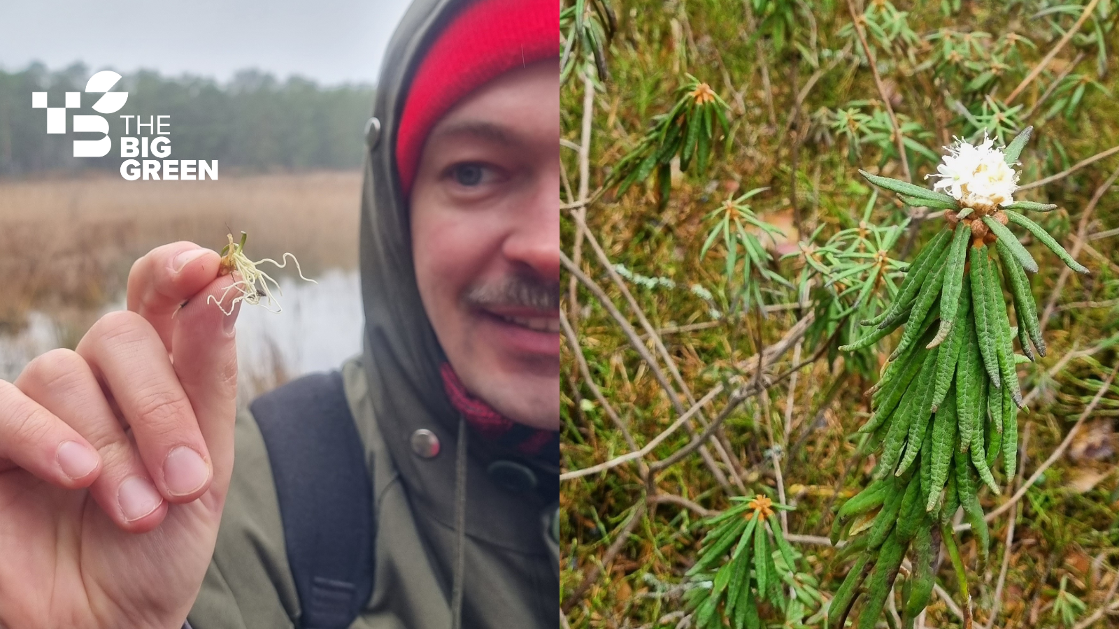Evarts Melnalksnis ar radošo komandu uzsāk “The Big Green” projekta “SOIL” rezidenci